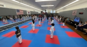 Lincoln-Family-TKD-Home-Hero-2